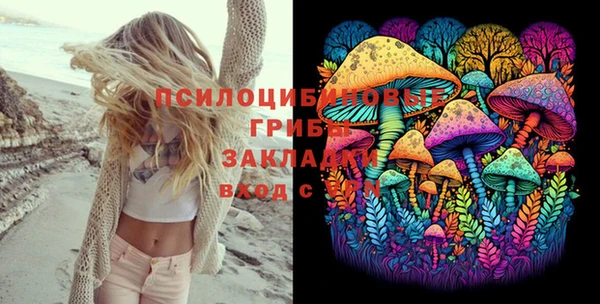 apvp Абаза